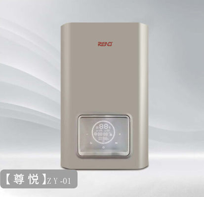 26kw 30kw वॉल माउंटेड गैस बॉयलर डबल फंक्शन Ng 24kw Lpg कॉम्बी बॉयलर