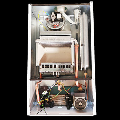 L1PB 32-(F1) स्टेनलेस स्टील हीटिंग बाथिंग गैस बॉयलर वॉल माउंटेड 32Kw